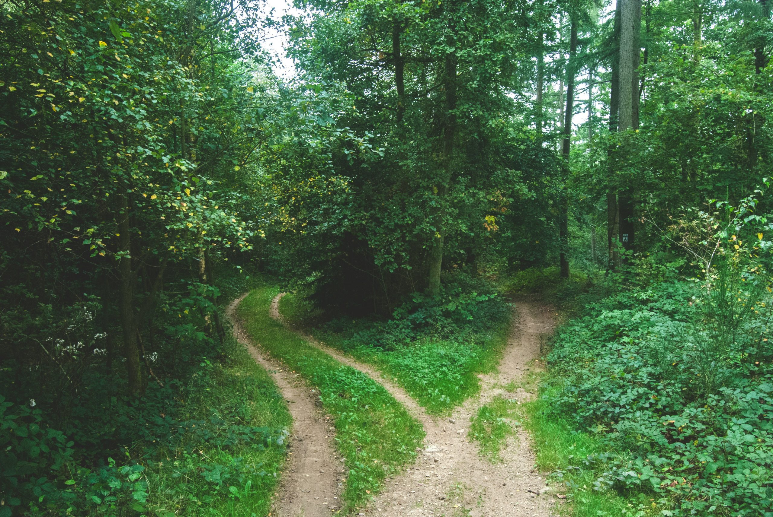 Paarberatung Eifel